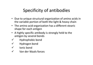 Specificity of antibodies
• Due to unique structural organization of amino acids in
the variable portion of both the light & heavy chain
• The amino acid organization has a different stearic
shape for each antigen
• A highly specific antibody is strongly held to the
antigen by several bonds
 Hydrophobic bond
 Hydrogen bond
 Ionic bond
 Van der Waals forces
 