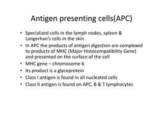 Antigen presenting cells(APC)
• Specialized cells in the lymph nodes, spleen &
Langerhan’s cells in the skin
• In APC the products of antigen digestion are complexed
to products of MHC (Major Histocompatibility Gene)
and presented on the surface of the cell
• MHC gene – chromosome 6
• Its product is a glycoprotein
• Class I antigen is found in all nucleated cells
• Class II antigen is found on APC, B & T lymphocytes
 
