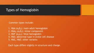 Comprehensive Guide to Hemoglobin Electrophoresis Procedure and ...