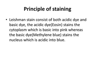 Principle of staining
• Leishman stain consist of both acidic dye and
basic dye, the acidic dye(Eosin) stains the
cytoplasm which is basic into pink whereas
the basic dye(Methylene blue) stains the
nucleus which is acidic into blue.
 