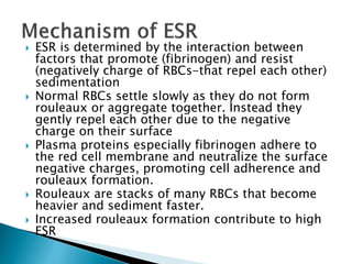  ESR is determined by the interaction between
factors that promote (fibrinogen) and resist
(negatively charge of RBCs-that repel each other)
sedimentation
 Normal RBCs settle slowly as they do not form
rouleaux or aggregate together. Instead they
gently repel each other due to the negative
charge on their surface
 Plasma proteins especially fibrinogen adhere to
the red cell membrane and neutralize the surface
negative charges, promoting cell adherence and
rouleaux formation.
 Rouleaux are stacks of many RBCs that become
heavier and sediment faster.
 Increased rouleaux formation contribute to high
ESR
 