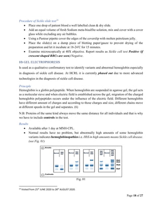 Hematology & Blood Transfusion lab. rotation report summary | PDF
