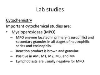 Hematology slide/ Pediatric leukemia | PPTX