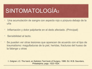SINTOMATOLOGÍA3
¡
3. Golgner J.C. The hand, en Sabiston Text book of Surgery, 1986. Ed. W.B. Saunders,
Philadelphia, pags. 1523-1524.
• Una acumulación de sangre con aspecto rojo o púrpura debajo de la
uña
• Inflamación y dolor palpitante en el dedo afectado. (Principal)
• Sensibilidad al tacto.
• Se pueden ver otras lesiones que aparecen de acuerdo con el tipo de
traumatismo: magulladuras de la piel, heridas, fracturas del hueso de
la falange u otras
 