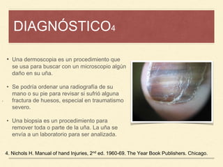 DIAGNÓSTICO4
¡
4. Nichols H. Manual of hand Injuries, 2nd ed. 1960-69. The Year Book Publishers. Chicago.
• Una dermoscopia es un procedimiento que
se usa para buscar con un microscopio algún
daño en su uña.
• Se podría ordenar una radiografía de su
mano o su pie para revisar si sufrió alguna
fractura de huesos, especial en traumatismo
severo.
• Una biopsia es un procedimiento para
remover toda o parte de la uña. La uña se
envía a un laboratorio para ser analizada.
 