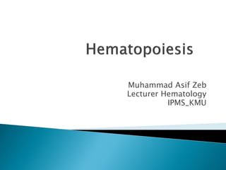 Muhammad Asif Zeb
Lecturer Hematology
IPMS_KMU
 