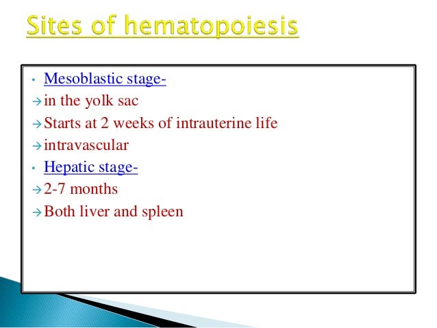 Hematophoisis