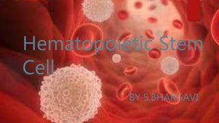 Hematopoietic Stem
Cell
BY S.BHARGAVI
 