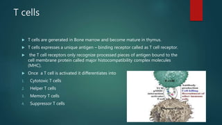 T cells
 T cells are generated in Bone marrow and become mature in thymus.
 T cells expresses a unique antigen – binding receptor called as T cell receptor.
 the T cell receptors only recognize processed pieces of antigen bound to the
cell membrane protein called major histocompatibility complex molecules
(MHC).
 Once a T cell is activated it differentiates into
1. Cytotoxic T cells
2. Helper T cells
3. Memory T cells
4. Suppressor T cells
 