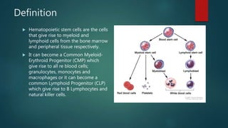Definition
 Hematopoietic stem cells are the cells
that give rise to myeloid and
lymphoid cells from the bone marrow
and peripheral tissue respectively.
 It can become a Common Myeloid-
Erythroid Progenitor (CMP) which
give rise to all re blood cells;
granulocytes, monocytes and
macrophages or it can become a
common Lymphoid Progenitor (CLP)
which give rise to B Lymphocytes and
natural killer cells.
 
