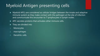 Myeloid Antigen presenting cells
 Myeloid APCs are considered as cellular bridges between the innate and adaptive
immune system as they make contact with the pathogen at the site of infection
and communicate this encounter to T lymphocytes in lymph nodes.
 APC secretes proteins that activates other immune cells.
 They are divided into
1. Monocytes
2. macrophages
3. Dendritic cells
 