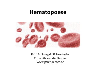 Hematopoese
Prof. Archangelo P. Fernandes
Profa. Alessandra Barone
www.profbio.com.br
 