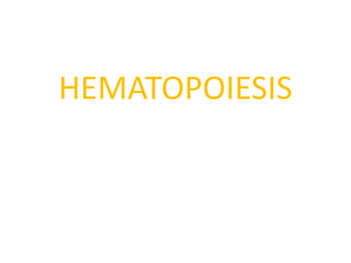 HEMATOPOIESIS
 