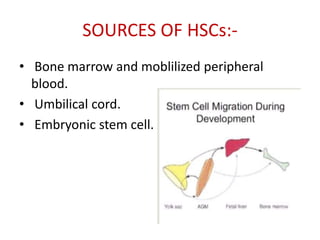 SOURCES OF HSCs:-
• Bone marrow and moblilized peripheral
blood.
• Umbilical cord.
• Embryonic stem cell.
 