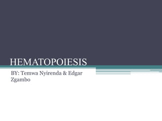 HEMATOPOIESIS
BY: Temwa Nyirenda & Edgar
Zgambo
 