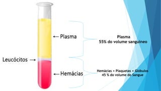 Hemácias + Plaquetas + Glóbulos
45 % do volume do Sangue
Plasma
55% do volume sanguíneo
 