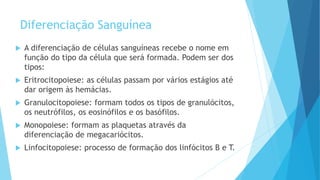 Diferenciação Sanguínea
 A diferenciação de células sanguíneas recebe o nome em
função do tipo da célula que será formada. Podem ser dos
tipos:
 Eritrocitopoiese: as células passam por vários estágios até
dar origem às hemácias.
 Granulocitopoiese: formam todos os tipos de granulócitos,
os neutrófilos, os eosinófilos e os basófilos.
 Monopoiese: formam as plaquetas através da
diferenciação de megacariócitos.
 Linfocitopoiese: processo de formação dos linfócitos B e T.
 
