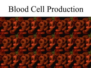 Blood Cell Production 