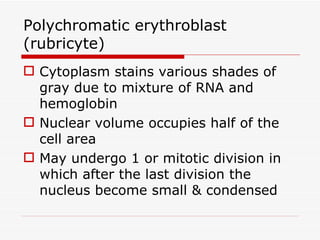 Polychromatic erythroblast
(rubricyte)
 Cytoplasm stains various shades of
  gray due to mixture of RNA and
  hemoglobin
 Nuclear volume occupies half of the
  cell area
 May undergo 1 or mitotic division in
  which after the last division the
  nucleus become small & condensed
 