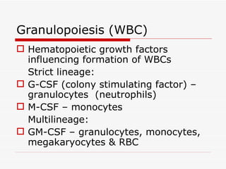 Granulopoiesis (WBC)
 Hematopoietic growth factors
  influencing formation of WBCs
  Strict lineage:
 G-CSF (colony stimulating factor) –
  granulocytes (neutrophils)
 M-CSF – monocytes
  Multilineage:
 GM-CSF – granulocytes, monocytes,
  megakaryocytes & RBC
 