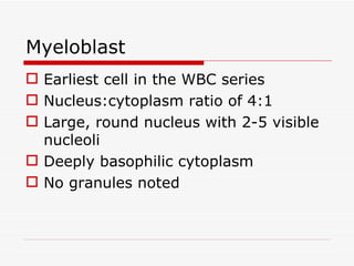 Myeloblast
 Earliest cell in the WBC series
 Nucleus:cytoplasm ratio of 4:1
 Large, round nucleus with 2-5 visible
  nucleoli
 Deeply basophilic cytoplasm
 No granules noted
 