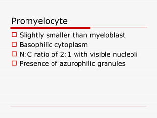 Promyelocyte
   Slightly smaller than myeloblast
   Basophilic cytoplasm
   N:C ratio of 2:1 with visible nucleoli
   Presence of azurophilic granules
 