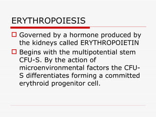ERYTHROPOIESIS
 Governed by a hormone produced by
  the kidneys called ERYTHROPOIETIN
 Begins with the multipotential stem
  CFU-S. By the action of
  microenvironmental factors the CFU-
  S differentiates forming a committed
  erythroid progenitor cell.
 