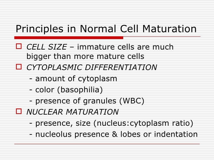 Hematopoiesis