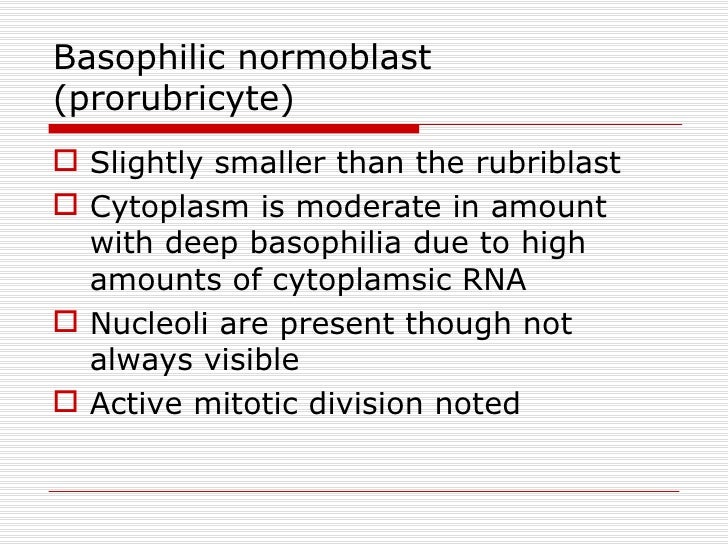 Hematopoiesis