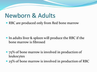 Hematopoiesis | PPTX