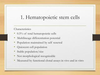 1. Hematopoietic stem cells
Characteristics
• 0.5% of total hematopoietic cells
• Multilineage differentiation potential
• Population maintained by self renewal
• Quiescent cell population
• Stable population/size
• Not morphological recognizable
• Measured by functional clonal assays in vivo and in vitro
 