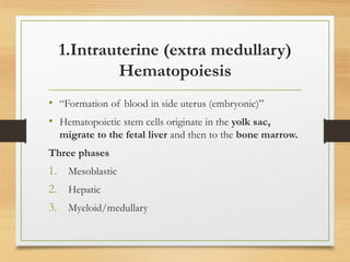 1.Intrauterine (extra medullary)
Hematopoiesis
• “Formation of blood in side uterus (embryonic)”
• Hematopoietic stem cells originate in the yolk sac,
migrate to the fetal liver and then to the bone marrow.
Three phases
1. Mesoblastic
2. Hepatic
3. Myeloid/medullary
 