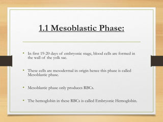 1.1 Mesoblastic Phase:
• In first 19-20 days of embryonic stage, blood cells are formed in
the wall of the yolk sac.
• These cells are mesodermal in origin hence this phase is called
Mesoblastic phase.
• Mesoblastic phase only produces RBCs.
• The hemoglobin in these RBCs is called Embryonic Hemoglobin.
 