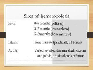 Sites of hematopoiesis
 