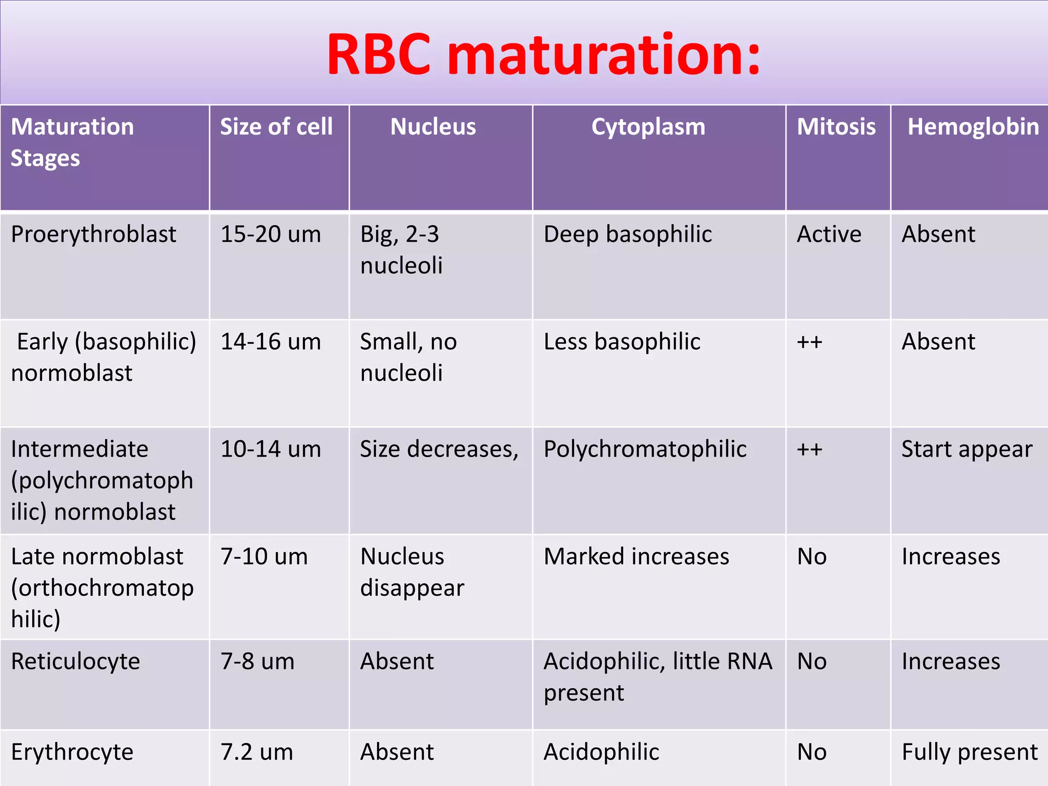 Hematopoiesis | PPTX