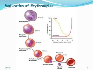hematopoiesis-pptx