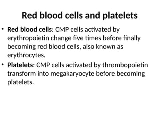 hematopoiesis (formation of blood) .pptx