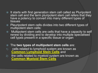  It starts with first generation stem cell called as Pluripotent
stem cell and the term pluripotent stem cell refers that they
have a potency to convert into many different types of
tissues
 Pleuripotent stem cells divides into two different types of
multipotent stem cells:
 Multipotent stem cells are cells that have a capacity to self
renew by dividing and to develop into multiple specialised
cell types present in a specific tissue or organ
 The two types of multipotent stem cells are:
1) cells related to lymphoid system are known as
Common Lymphoid Stem Cells and
2) the cells related to myeloid system are known as
Common Myeloid Stem Cells
 