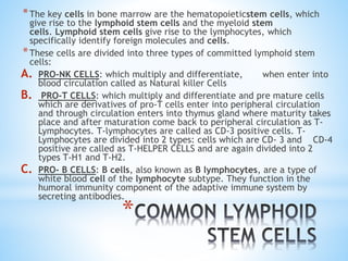 *
*The key cells in bone marrow are the hematopoieticstem cells, which
give rise to the lymphoid stem cells and the myeloid stem
cells. Lymphoid stem cells give rise to the lymphocytes, which
specifically identify foreign molecules and cells.
*These cells are divided into three types of committed lymphoid stem
cells:
A. PRO-NK CELLS: which multiply and differentiate, when enter into
blood circulation called as Natural killer Cells
B. PRO-T CELLS: which multiply and differentiate and pre mature cells
which are derivatives of pro-T cells enter into peripheral circulation
and through circulation enters into thymus gland where maturity takes
place and after maturation come back to peripheral circulation as T-
Lymphocytes. T-lymphocytes are called as CD-3 positive cells. T-
Lymphocytes are divided into 2 types: cells which are CD- 3 and CD-4
positive are called as T-HELPER CELLS and are again divided into 2
types T-H1 and T-H2.
C. PRO- B CELLS: B cells, also known as B lymphocytes, are a type of
white blood cell of the lymphocyte subtype. They function in the
humoral immunity component of the adaptive immune system by
secreting antibodies.
 