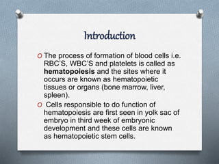 Introduction
O The process of formation of blood cells i.e.
RBC’S, WBC’S and platelets is called as
hematopoiesis and the sites where it
occurs are known as hematopoietic
tissues or organs (bone marrow, liver,
spleen).
O Cells responsible to do function of
hematopoiesis are first seen in yolk sac of
embryo in third week of embryonic
development and these cells are known
as hematopoietic stem cells.
 