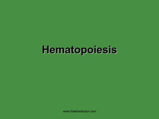 Hematopoiesis www.freelivedoctor.com 