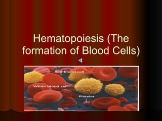 Hematopoiesis (The
formation of Blood Cells)
 