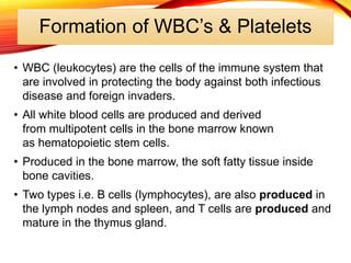 Formation of WBC’s & Platelets
• WBC (leukocytes) are the cells of the immune system that
are involved in protecting the body against both infectious
disease and foreign invaders.
• All white blood cells are produced and derived
from multipotent cells in the bone marrow known
as hematopoietic stem cells.
• Produced in the bone marrow, the soft fatty tissue inside
bone cavities.
• Two types i.e. B cells (lymphocytes), are also produced in
the lymph nodes and spleen, and T cells are produced and
mature in the thymus gland.
 