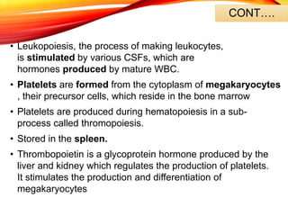 CONT….
• Leukopoiesis, the process of making leukocytes,
is stimulated by various CSFs, which are
hormones produced by mature WBC.
• Platelets are formed from the cytoplasm of megakaryocytes
, their precursor cells, which reside in the bone marrow
• Platelets are produced during hematopoiesis in a sub-
process called thromopoiesis.
• Stored in the spleen.
• Thrombopoietin is a glycoprotein hormone produced by the
liver and kidney which regulates the production of platelets.
It stimulates the production and differentiation of
megakaryocytes
 