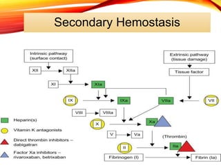 Secondary Hemostasis
 