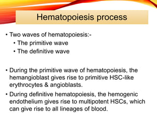Hematopoiesis process
• Two waves of hematopoiesis:-
• The primitive wave
• The definitive wave
• During the primitive wave of hematopoiesis, the
hemangioblast gives rise to primitive HSC-like
erythrocytes & angioblasts.
• During definitive hematopoiesis, the hemogenic
endothelium gives rise to multipotent HSCs, which
can give rise to all lineages of blood.
 