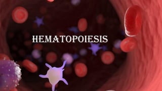 Hematopoiesis
 