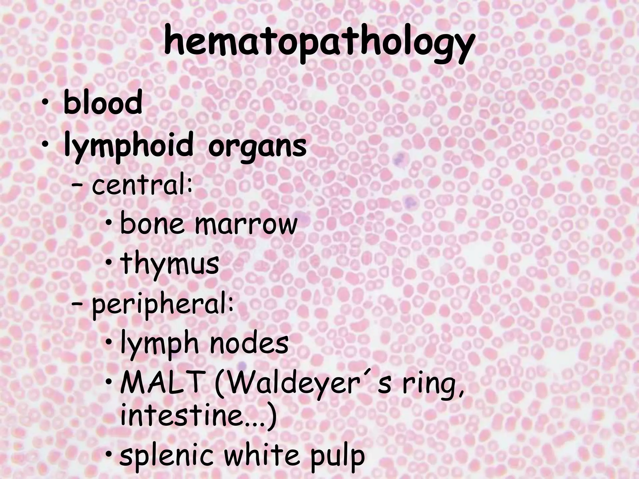 Hematopoietic and lymphoid systems.ppt