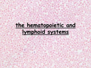 Hematopoietic and lymphoid systems.ppt