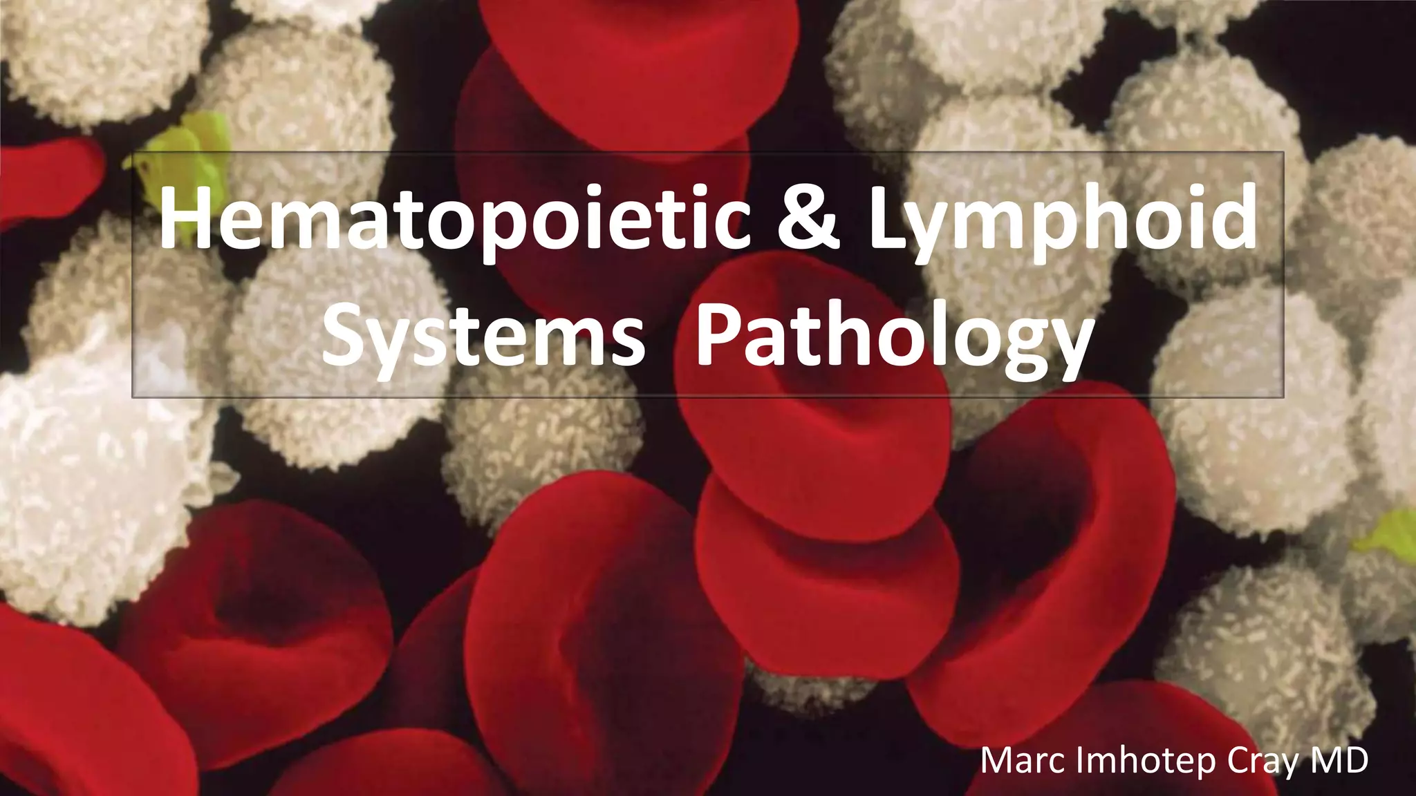 Hematopoietic and Lymphoid Systems Pathology | PPTX